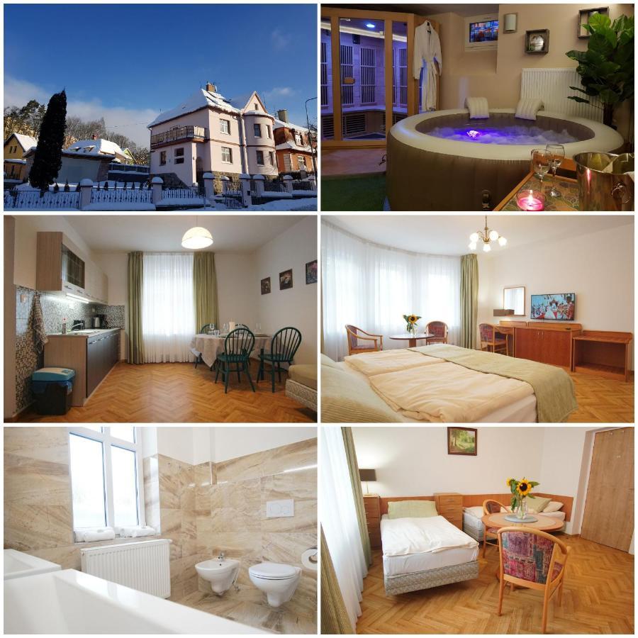 Vila Nejdek - Erzgebirge Aparthotel Kültér fotó